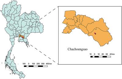 Intestinal Parasites and the Occurrence of Zoonotic Giardia duodenalis Genotype in Captive Gibbons at Krabokkoo Wildlife Breeding Center, Thailand